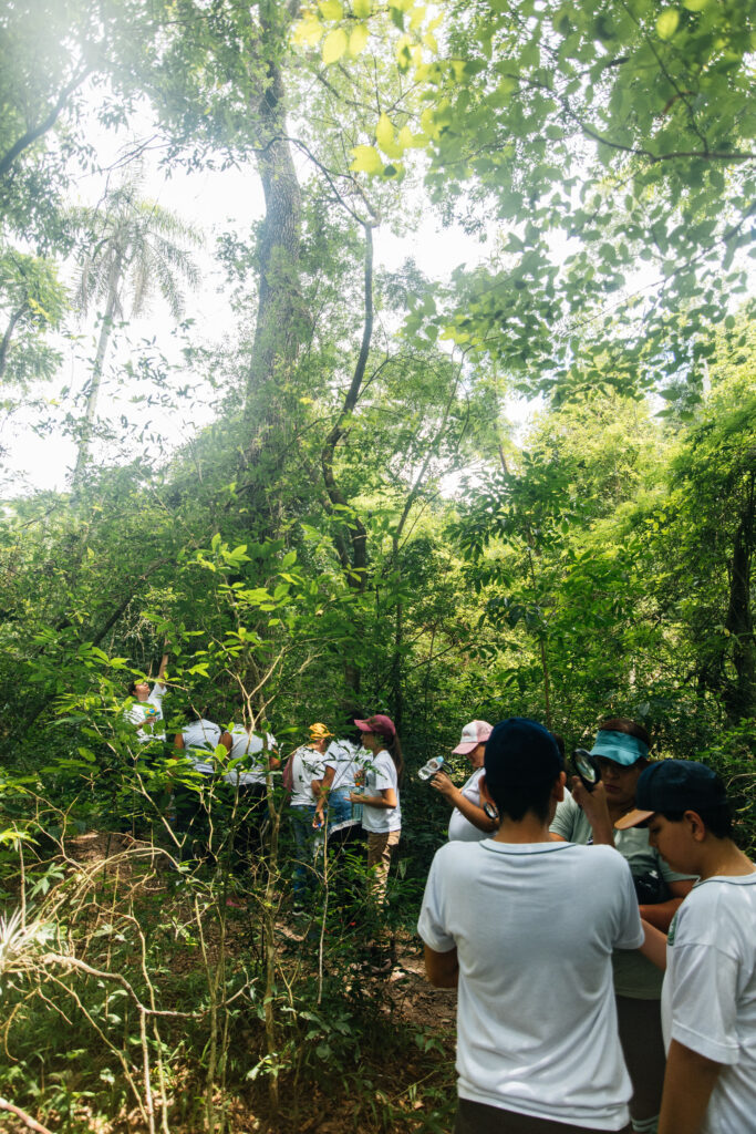 Educação Ambiental
